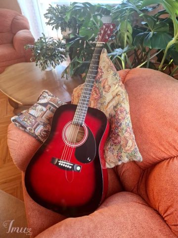 imusau.lt | parduodama Tenson akustinė gitara su dėklu ir kitais priedais